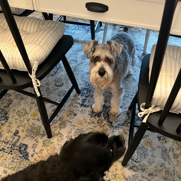 Hi fellow Poshers 💗 My name is Michelle 💗 - Picture 4 of 4